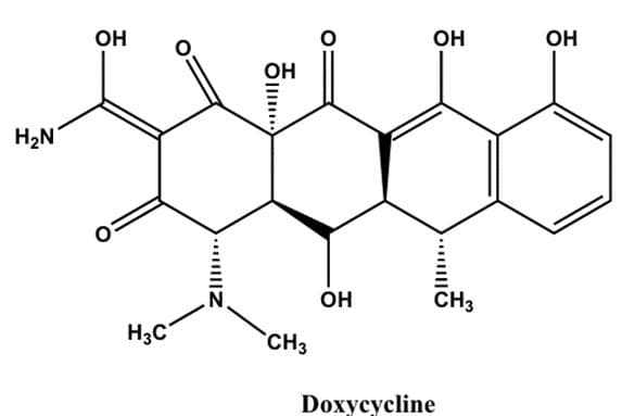 盐酸多西环素抗菌与非抗菌作用详解