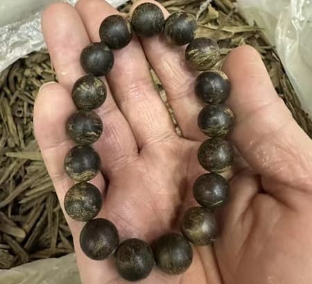 沉香鉴别与投资指南：从入门到进阶