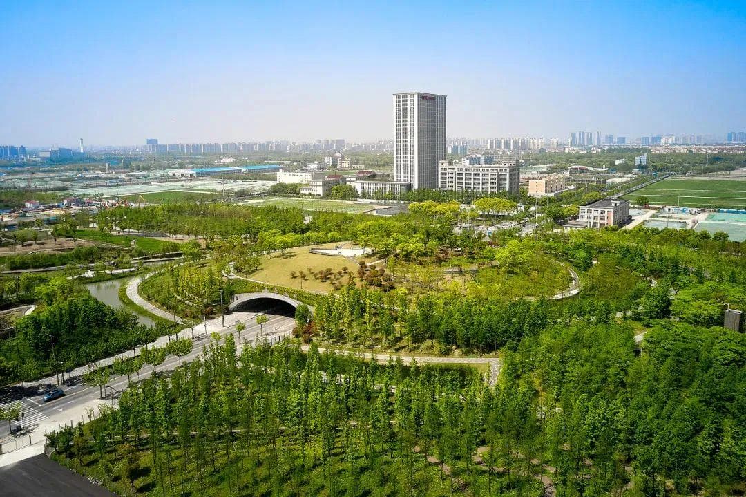 环上桃花源，踏青好去处！普陀这些地方不容错过