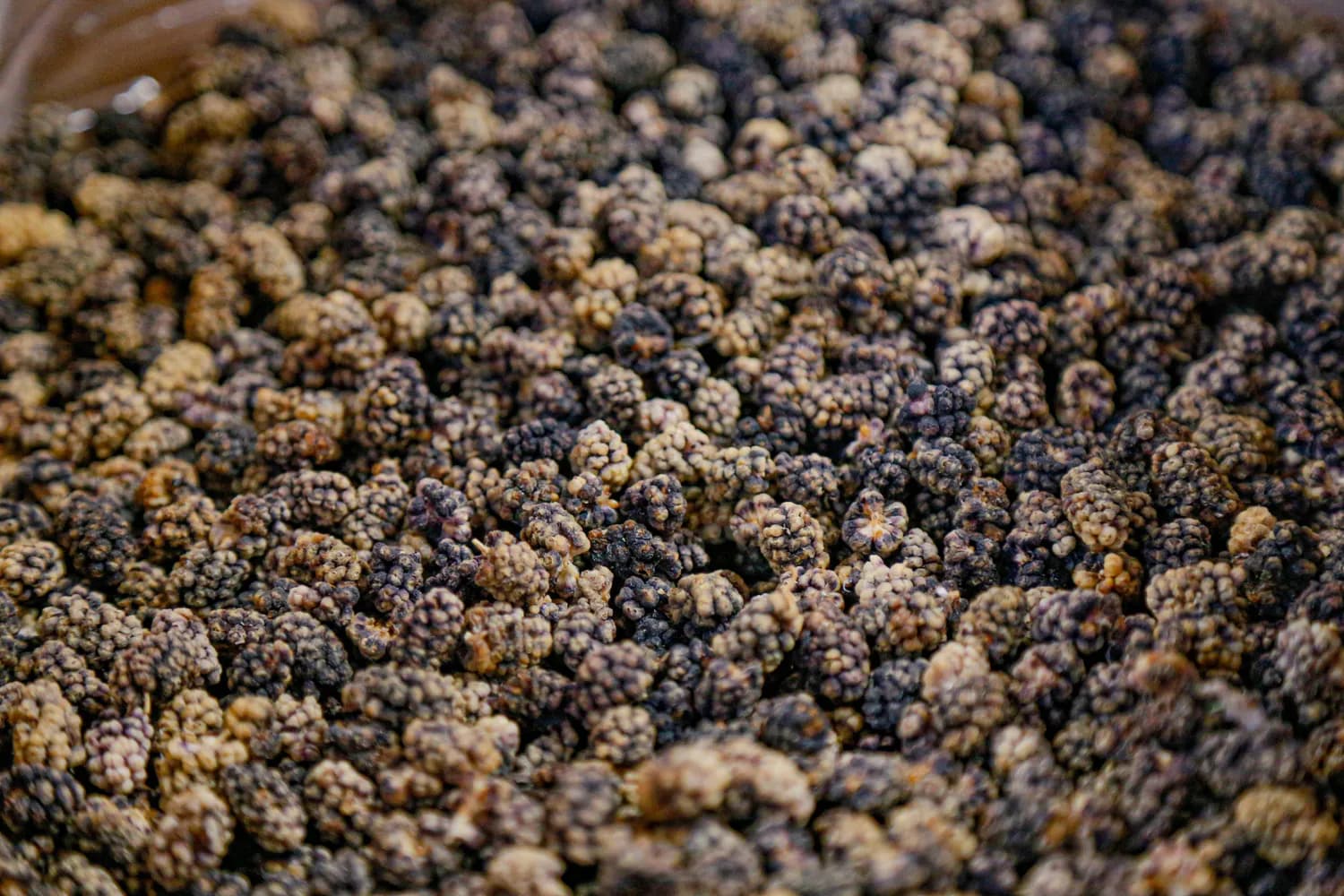 拐枣泡酒走红：年销8万斤背后的养生密码