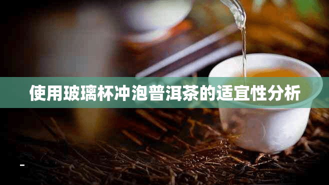 使用玻璃杯冲泡普洱茶的适宜性分析