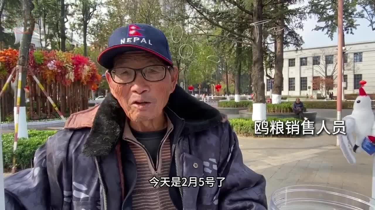 昆明多个观鸥点的海鸥不见了？开屏记者实地走访……