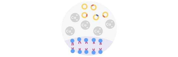 什么是分子克隆？