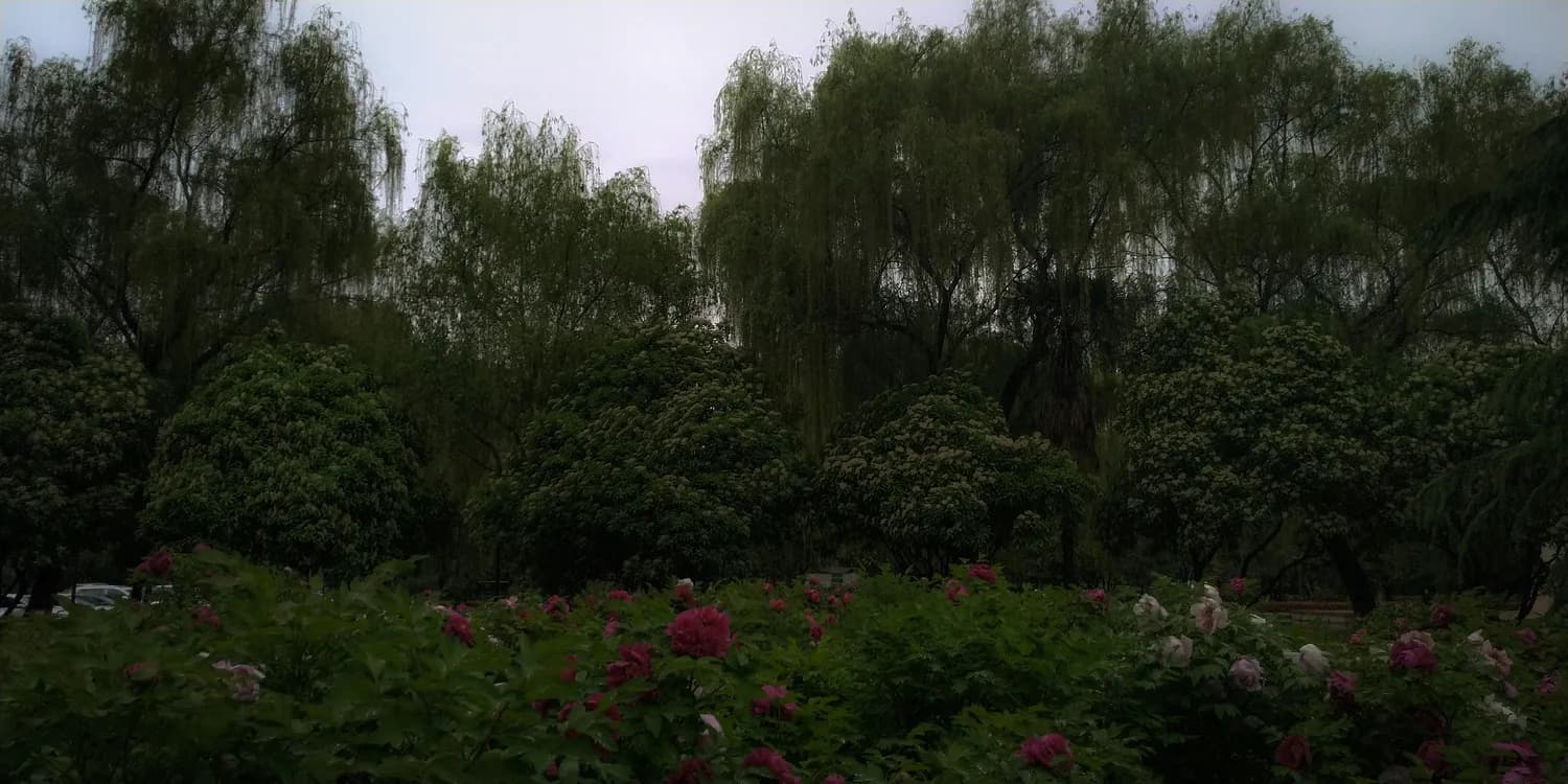 古诗词里的春天：自然美景与文化内涵