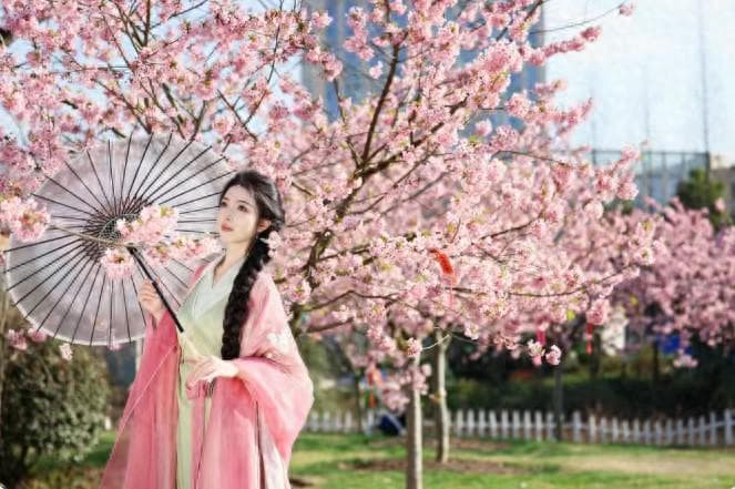 赏花打卡点“长”满游客 成都春日经济持续升温