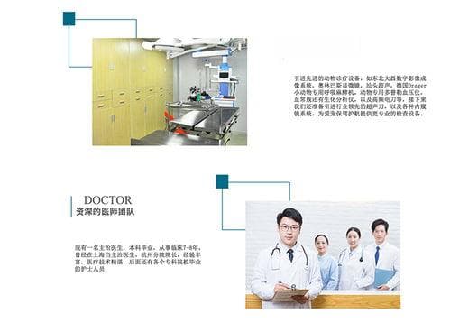 宠物健康检查指南：如何给宠物做好常规检查？