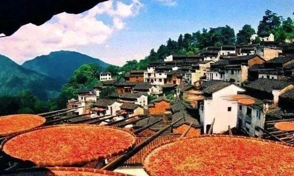 婺源怎么去 婺源交通攻略