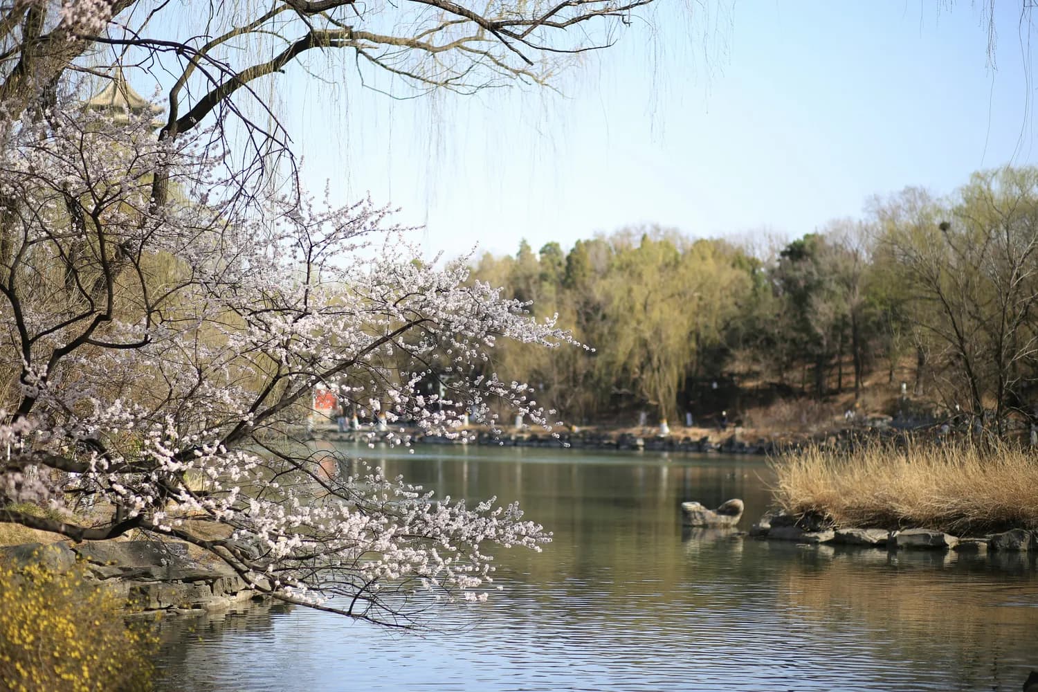 南京桃湖公园：新晋网红打卡地，邂逅最美的湖光山色