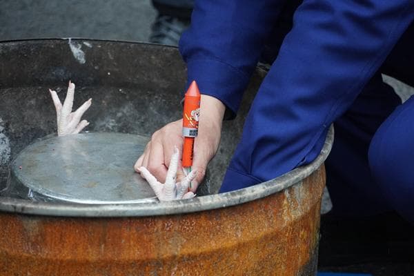 未燃放完的烟花爆竹怎么正确处置？杭州消防通过实验揭示安全风险