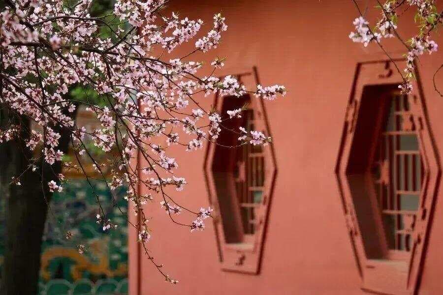 龙吟师傅：谈谈9种类型的桃花星