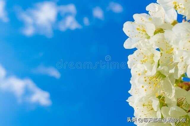 一个人越来越有气质的16个习惯