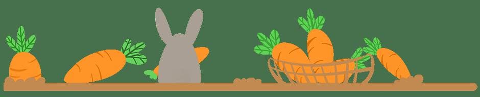 常见蔬菜营养成分表：蔬菜营养价值排行一览