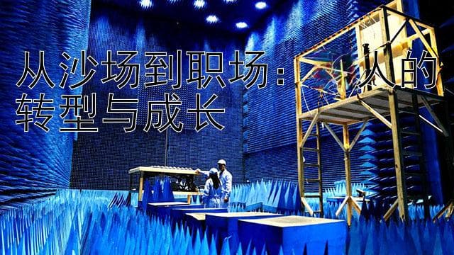 军转民：退役军人职场转型的挑战与突破