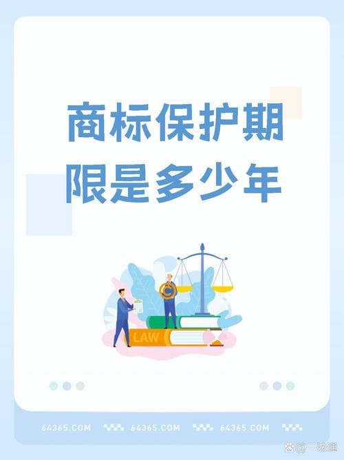 著作权的保护范围, 详解法律权益及限制