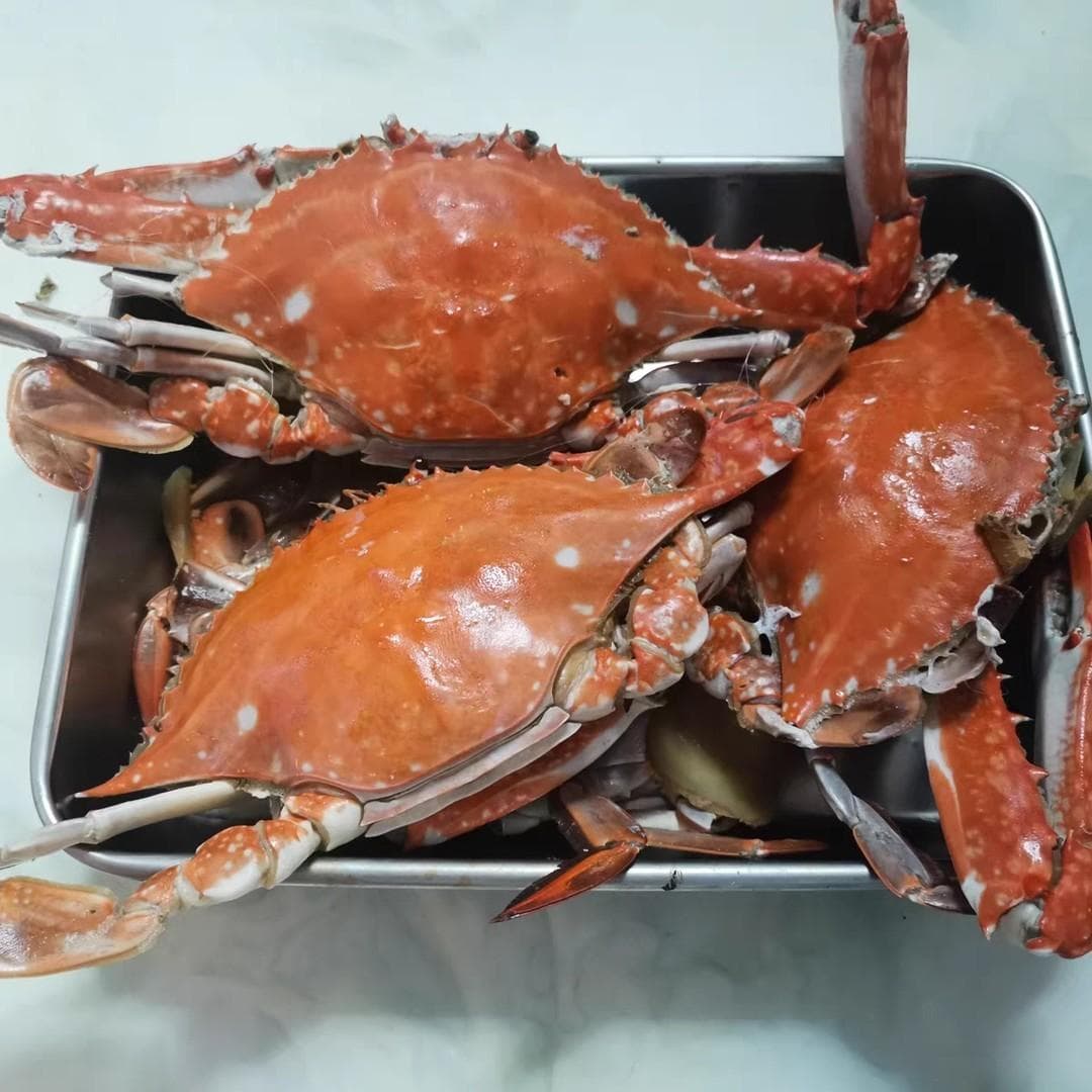从选购到烹饪：梭子蟹全攻略