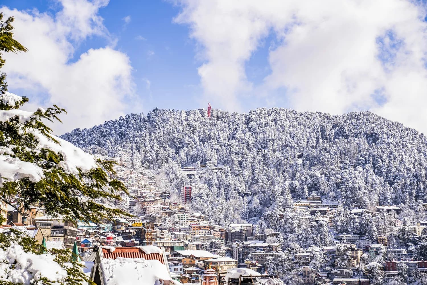冬游塔尔寺：雪中圣地的静谧之美