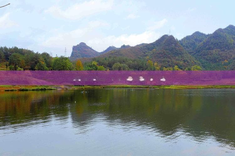 海南儋州湾深度自驾游攻略：探索火山海岸与热带风情全指南