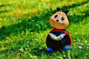 探索科普世界的奥秘，科普类内容的丰富多彩