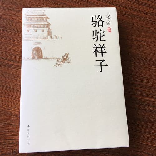《骆驼祥子》：一部兼具社会批判与人性洞察的经典之作