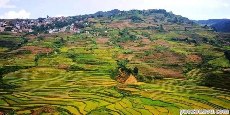 云南元江旅游攻略：自然与人文的完美邂逅