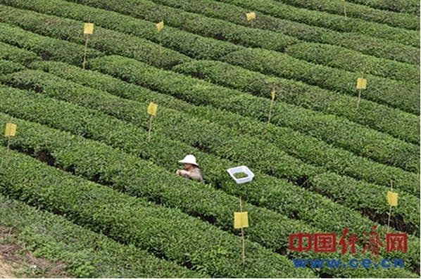 【发现最美铁路】助农惠企铁路建设和帮扶为地方实体经济注入新动力