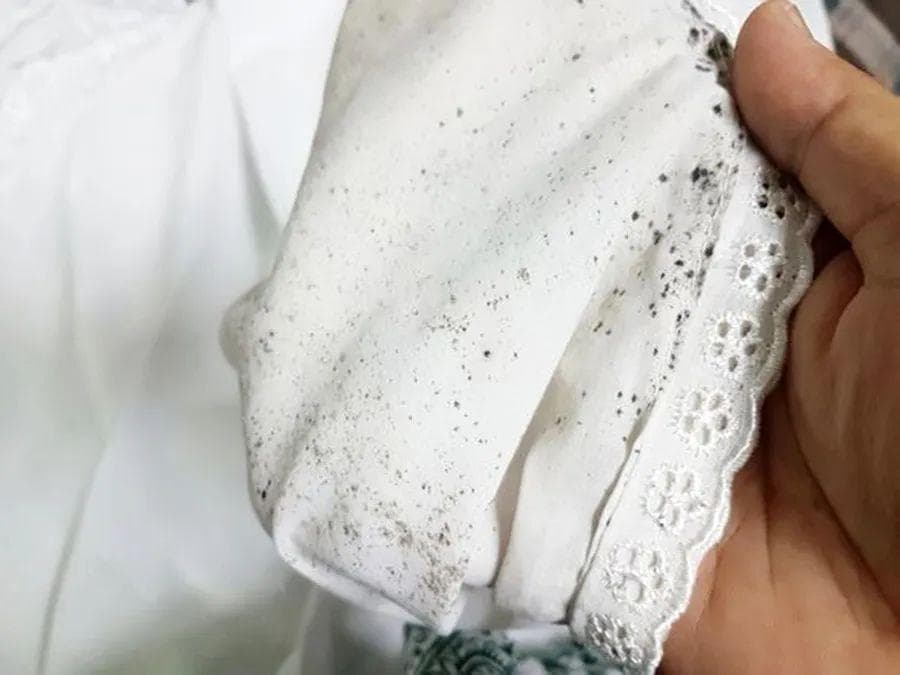 没下雨，衣柜依然发霉？家政阿姨分享防潮妙招，六个实证方法，保护衣服常年如新