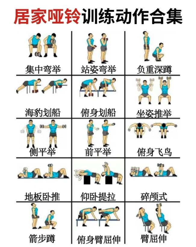 举哑铃训练：全面提升身体素质的高效健身方式