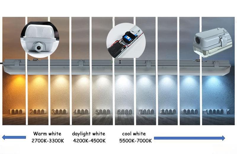 关于 6000K LED 灯您需要了解的一切