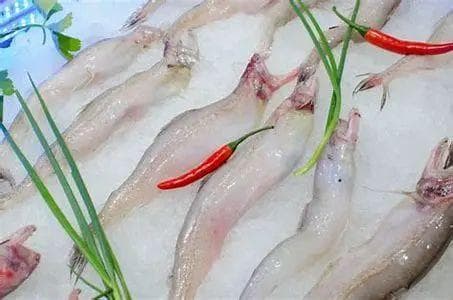 奇奇怪怪却鲜美无比！湛江“小众海鲜”且吃且珍惜