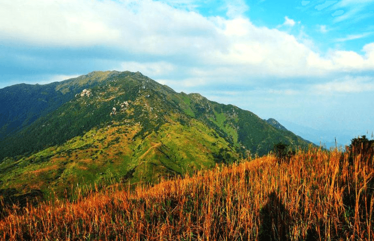 广东惠东大南山——漫山都是芦苇荡（附徒步路线）