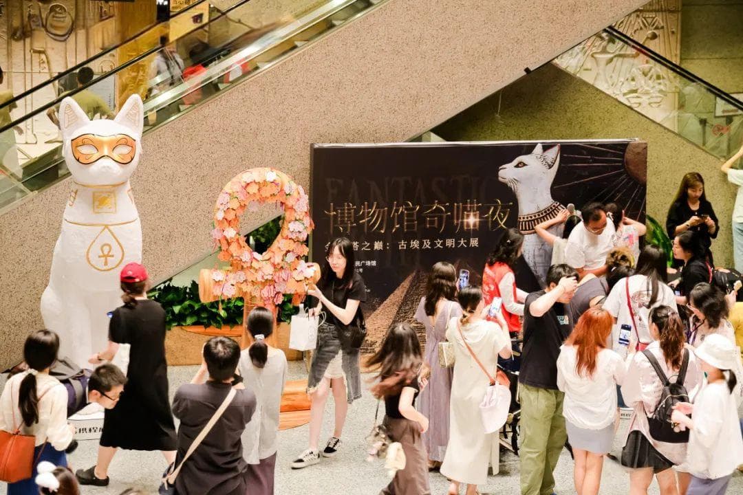 上海博物馆首推“博物馆奇‘喵’夜”：200只猫咪开启古埃及文明之旅