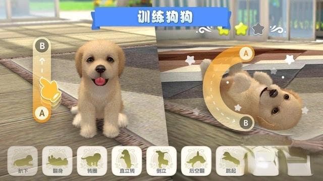 和狗玩的游戏有哪些2025 和小狗玩的游戏推荐
