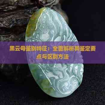 黑云母鉴别特征：全面解析其鉴定要点与区别方法