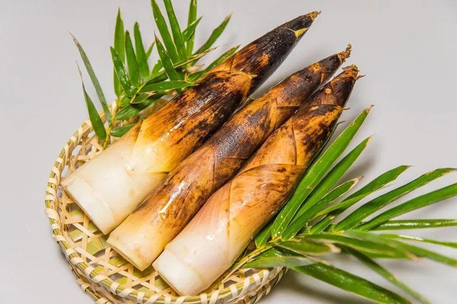 这种食物，可解“肠胃热毒”，化“皮里膜外之痰”，春天最鲜美