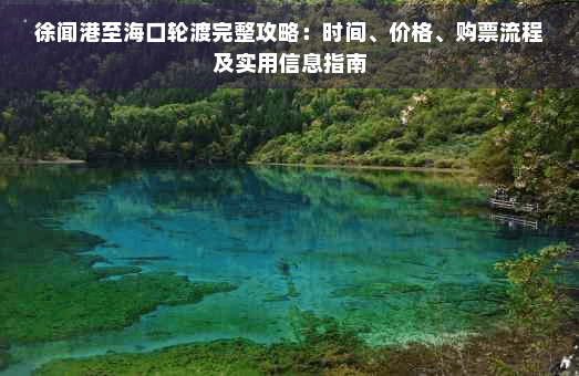 徐闻港至海口轮渡完整攻略：时间、价格、购票流程及实用信息指南