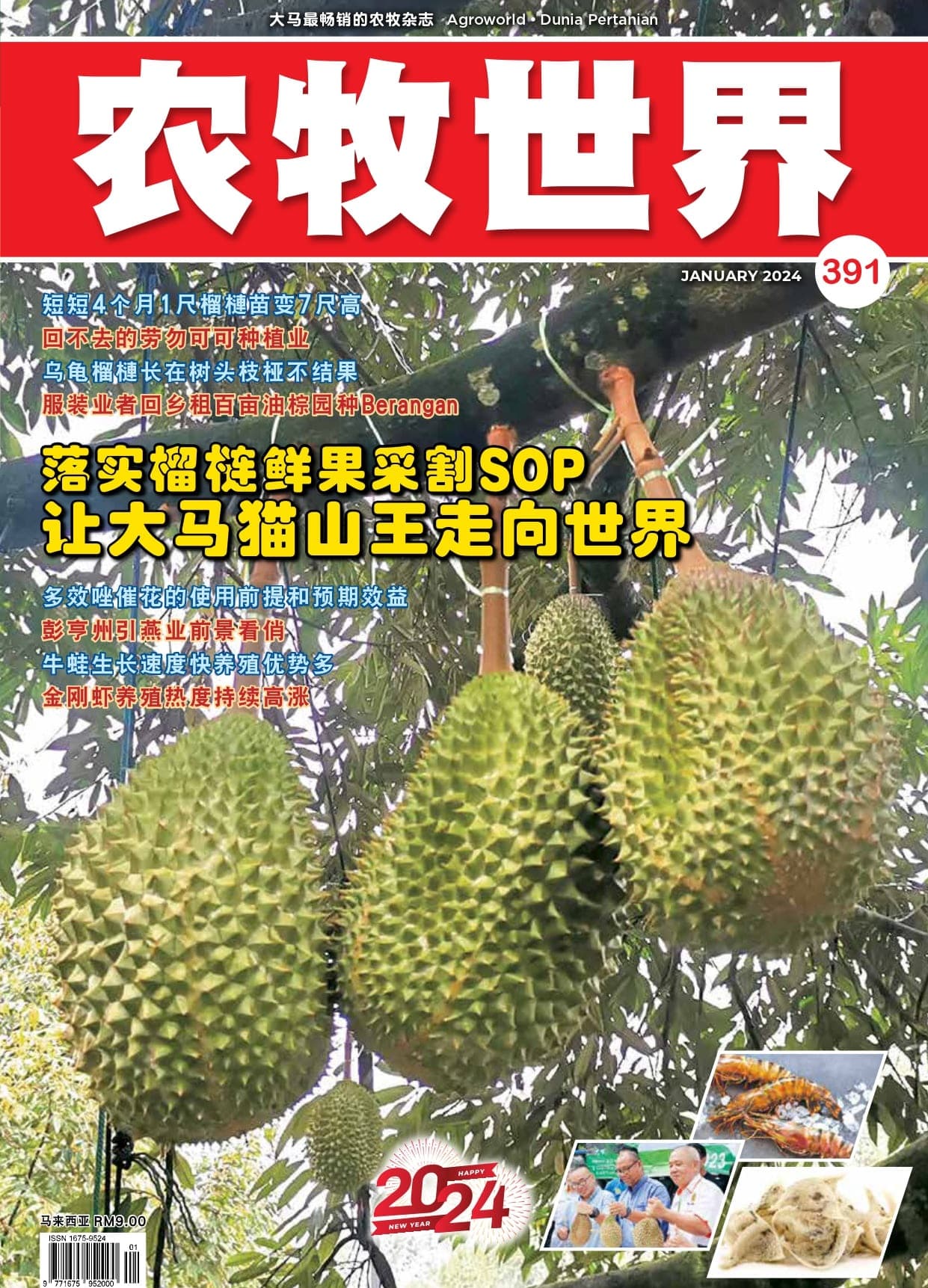 到位日常管理  促进七彩神仙鱼生长