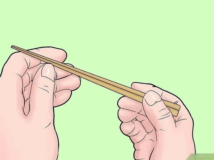 如何防止猫进入你的花园