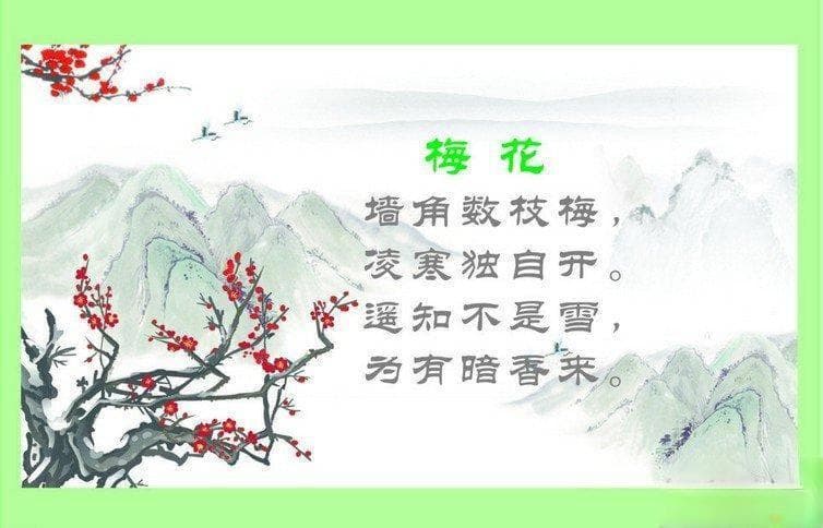 王安石咏梅：探索其背后的诗意与情怀