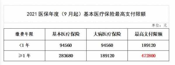 医保所属年度是什么意思？一文详解医保缴费期限与所属期
