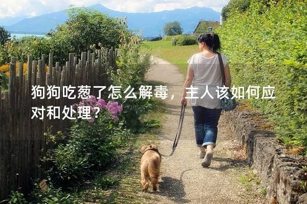 狗狗吃葱了怎么办？解毒方法与预防措施全攻略