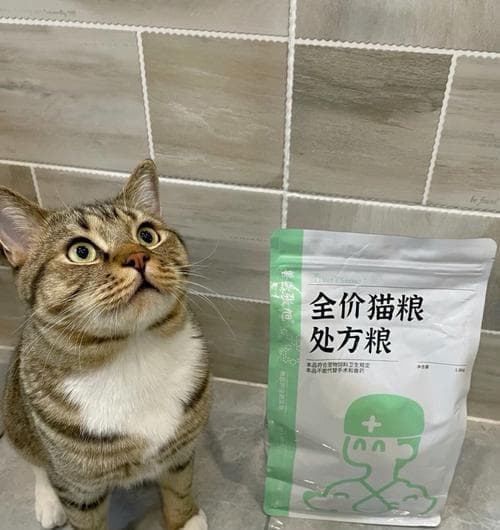 换粮后猫咪大便软不成形？这份科学应对指南请收好