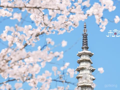 白塔公园：历史与自然交织的都市绿洲 🌸