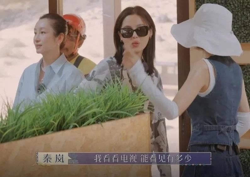 揭秘女明星的体重管理：秦岚与辛芷蕾的“斤斤计较”