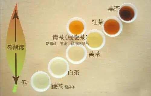 紫砂壶泡茶全攻略：六大茶类如何选择紫砂壶？