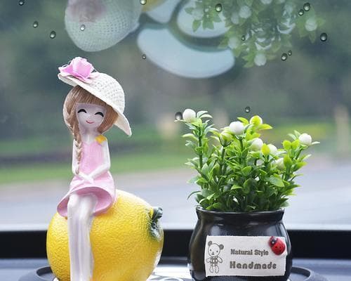 车上适合放什么植物（如何选择和养护车用植物）