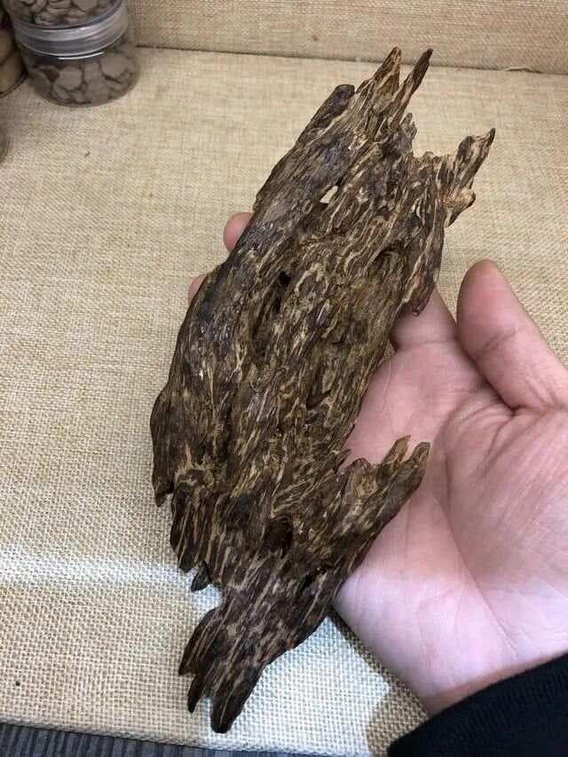 白奇楠鉴别指南：从沉水性到香味的全方位解析