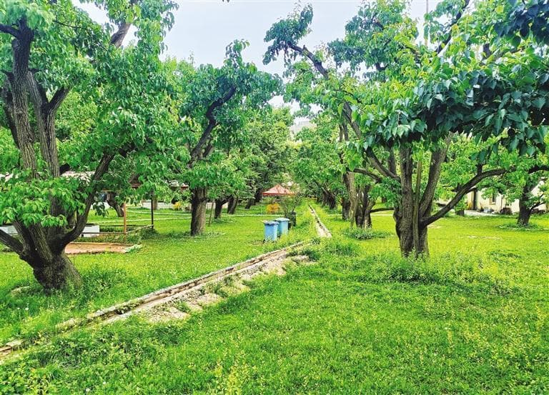 注入强劲动力！“梨韵水乡”渐成西北生态旅游目的地