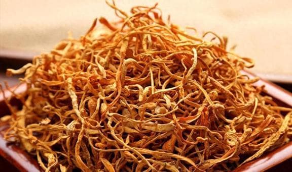 养肝润肺助睡眠，虫草菇5种家常做法详解