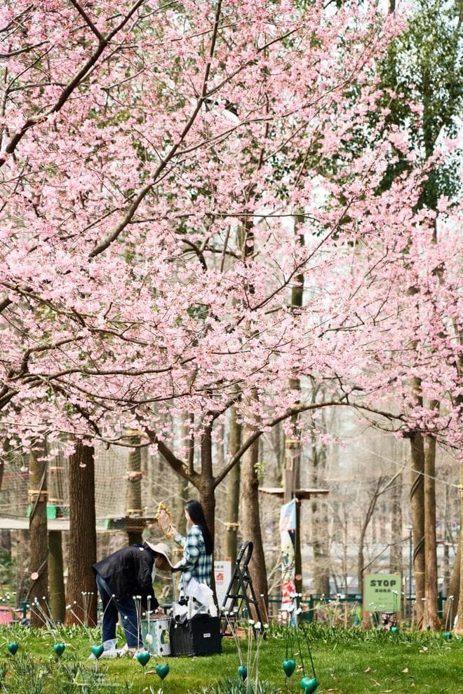 武汉完美旅游季｜江湖之城の花样玩法全攻略，附本地人私藏清单