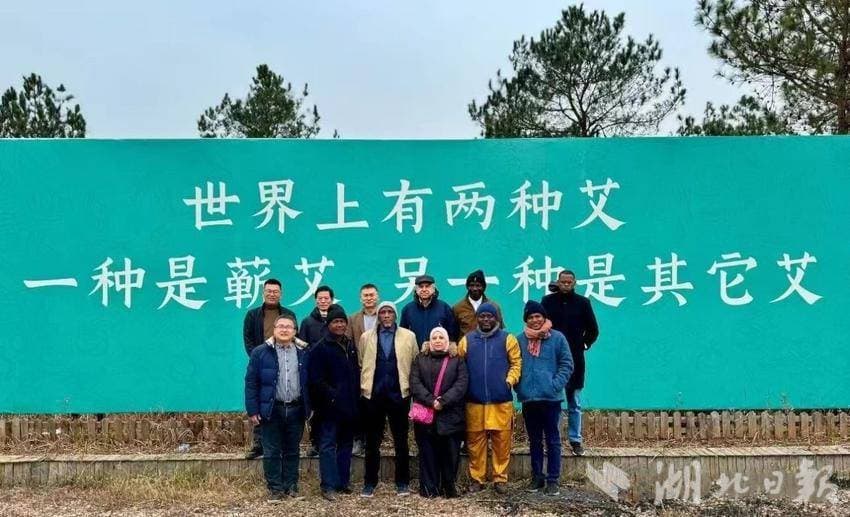 中医传承千载 友谊共筑未来——国际友人齐聚“神蕲艾谷”感受中医药魅力